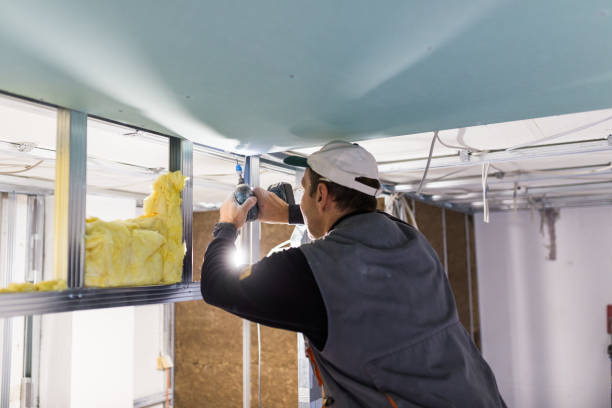 Best Crawl Space Insulation  in Succasunna, NJ