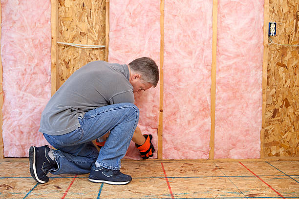 Best Insulation for Existing Homes  in Succasunna, NJ