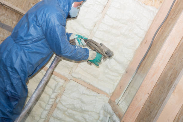 Best Wall Insulation Installation  in Succasunna, NJ